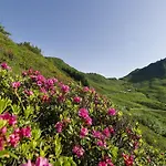 In Near Hiking Trails Holiday home