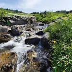 In Near Hiking Trails