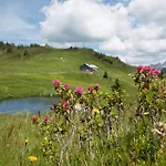 In Near Hiking Trails Holiday home Damuels