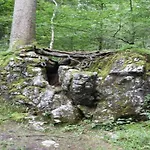 In Near Hiking Trails