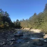 In Near Hiking Trails *