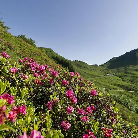 In Near Hiking Trails 度假居