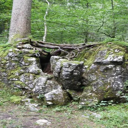 In Near Hiking Trails
