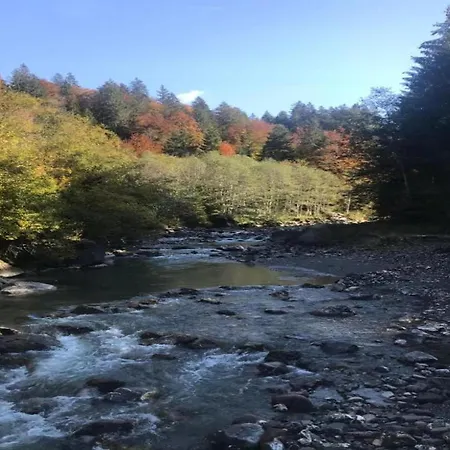 In Near Hiking Trails 达米尔斯